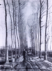 Poplar avenue